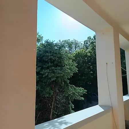 Apartament Olive Garden